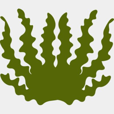 Sea Plant 2 Thumbnail