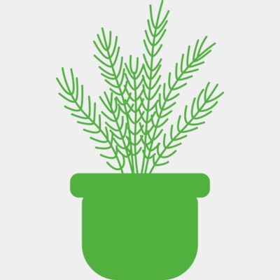 Herb Thumbnail