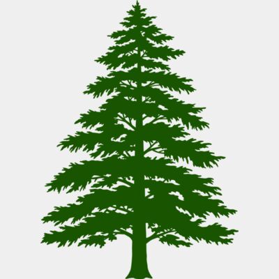 Tree Plant 3 Thumbnail