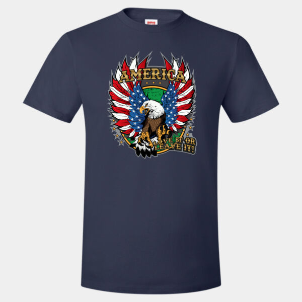 America Love it or Leave it Thumbnail