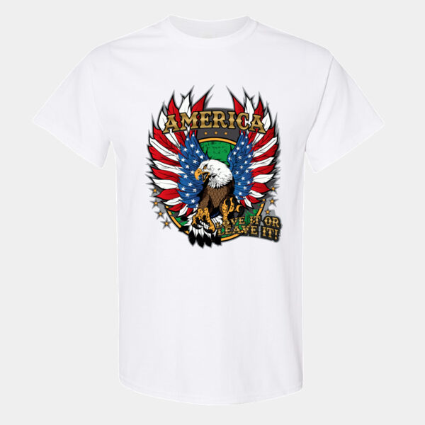 America Love it or Leave it Thumbnail