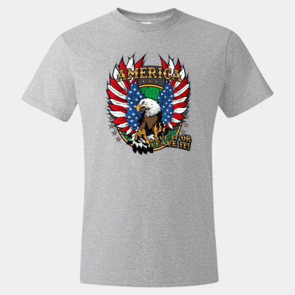 America Love it or Leave it Thumbnail