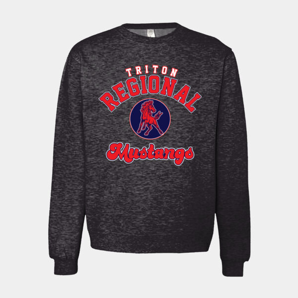 Triton Regional High school Thumbnail