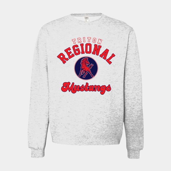 Triton Regional High school Thumbnail