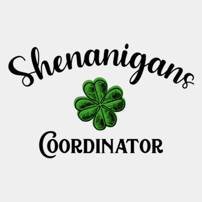 shenanigans coordinator-STSP011 Thumbnail
