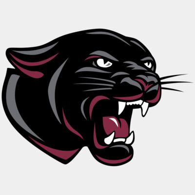 panther - STPT004 Thumbnail