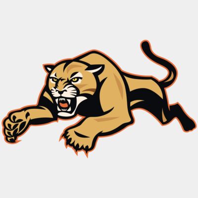 cougar 6 - STCG006 Thumbnail