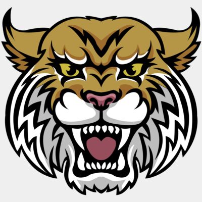 bob cat 2 - STBC002 Thumbnail