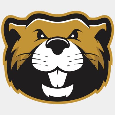 BEAVER 1 - STBV001 Thumbnail