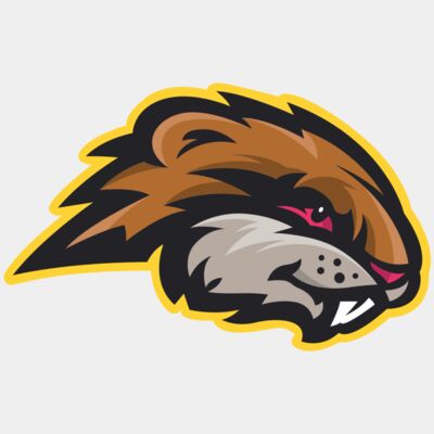 BEAVER 2 - STBV002 Thumbnail