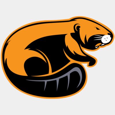 BEAVER 3 - STBV003 Thumbnail