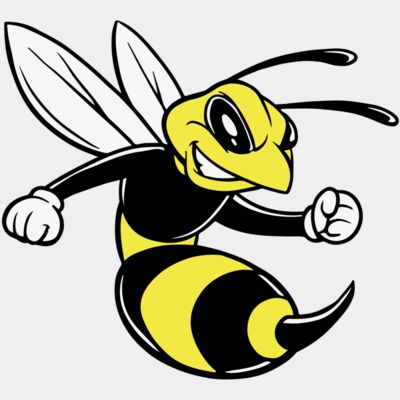 BEE/ HORNET 2 - STBH002 Thumbnail