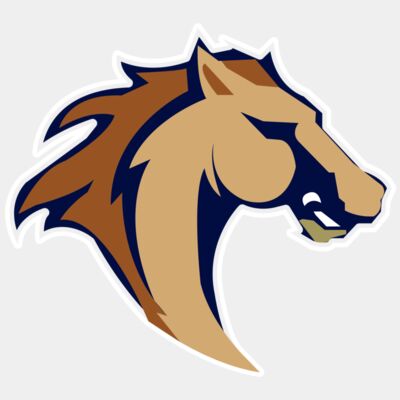 bronco 1 - STHB004 Thumbnail