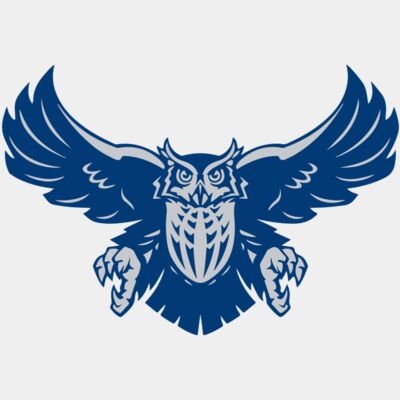 OWL - STOW001 Thumbnail