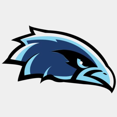 falcon - STFN001 Thumbnail