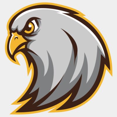 falcon - STFN002 Thumbnail