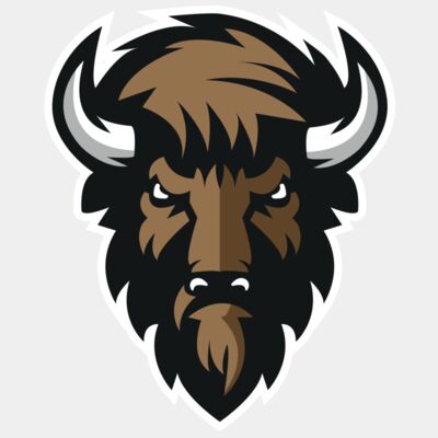 bison 4 - STBS004 Thumbnail