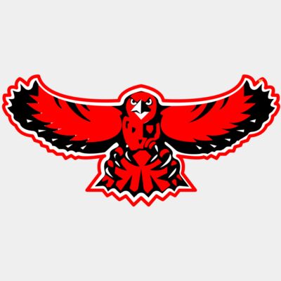 hawk - STFN008 Thumbnail