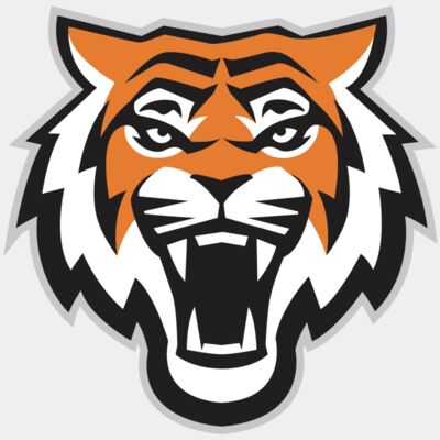 tiger - STTG001 Thumbnail