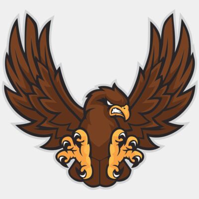 hawk 2 - STFN009 Thumbnail