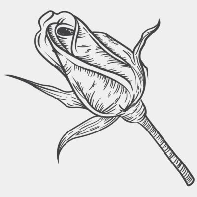 ROSE - STFL008 Thumbnail