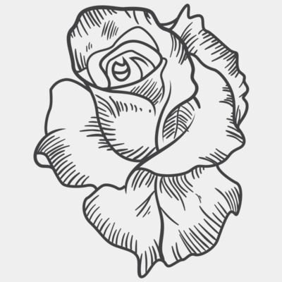 ROSE - STFL009 Thumbnail