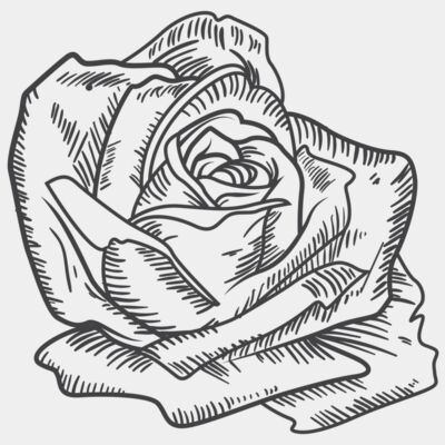 ROSE - STFL011 Thumbnail