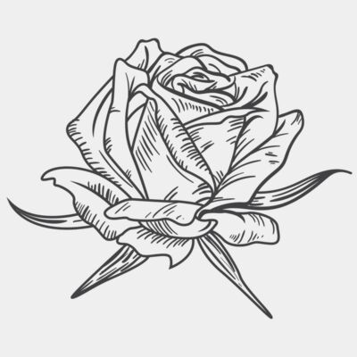 ROSE - STFL012 Thumbnail