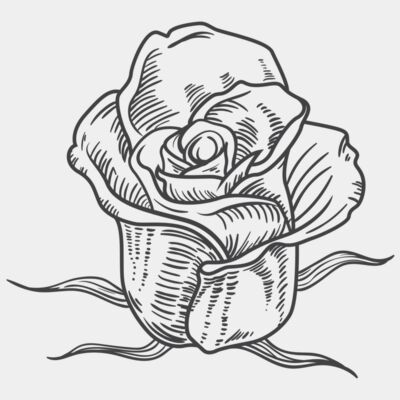 ROSE - STFL014 Thumbnail