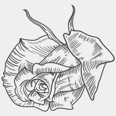 ROSE - STFL015 Thumbnail