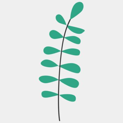 LEAF 24 - STLV024 Thumbnail