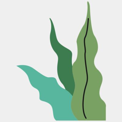 LEAF 27 - STLV027 Thumbnail