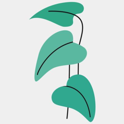 LEAF 30 - STLV030 Thumbnail