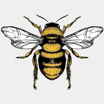 honey bee - STBH004 Thumbnail