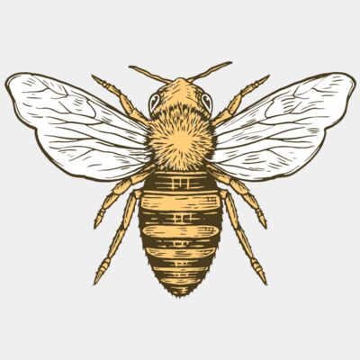 honey bee - STBH005 Thumbnail