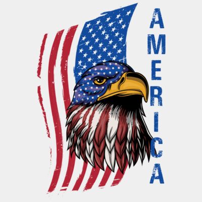 america - STFJ026 Thumbnail