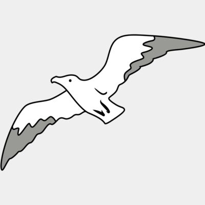 flyring seagull - STBT003 Thumbnail