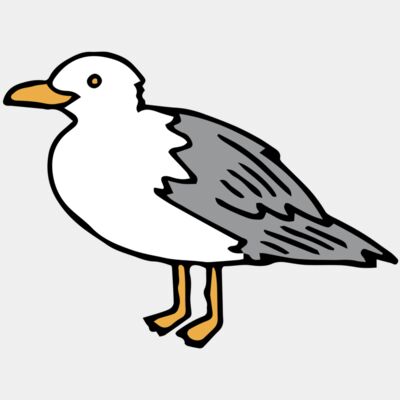 seagull - STBT004 Thumbnail