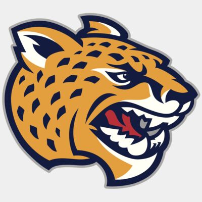 PANTHERS / JAGUARS Thumbnail