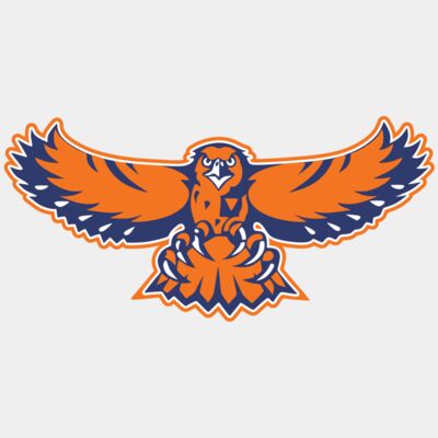 Falcons / Hawks Thumbnail